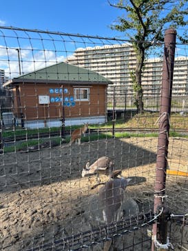 あらかわ遊園に投稿された画像（2024/9/23）