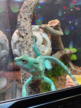 NARA IKIMONO MUSEUMに投稿された画像（2024/9/23）