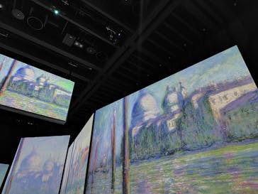 モネ＆フレンズ・アライブに投稿された画像（2024/9/23）