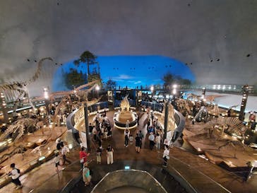 福井県立恐竜博物館に投稿された画像（2024/9/23）