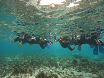 沖縄マリンサービス碧に投稿された画像（2024/9/23）