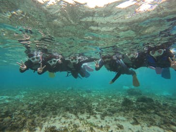 沖縄マリンサービス碧に投稿された画像（2024/9/23）