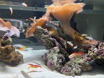 AOAO SAPPOROに投稿された画像（2024/9/23）