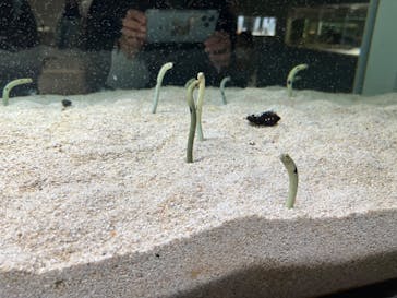 AOAO SAPPOROに投稿された画像（2024/9/23）