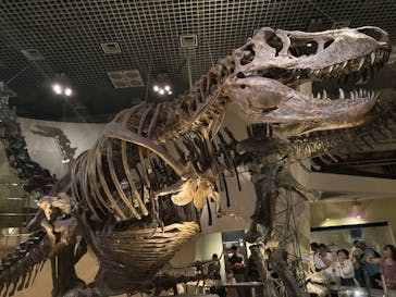 国立科学博物館に投稿された画像（2024/9/23）