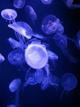 AOAO SAPPOROに投稿された画像（2024/9/23）