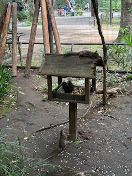 井の頭自然文化園に投稿された画像（2024/9/23）