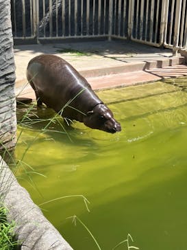名古屋市東山動植物園に投稿された画像（2024/9/23）