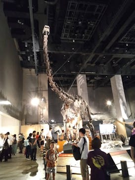 福井県立恐竜博物館に投稿された画像（2024/9/23）