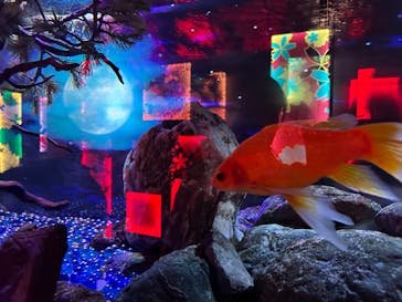 NARA IKIMONO MUSEUMに投稿された画像（2024/9/23）