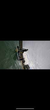 沖縄マリンサービス碧に投稿された画像（2024/9/23）