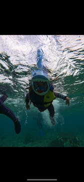 沖縄マリンサービス碧に投稿された画像（2024/9/23）