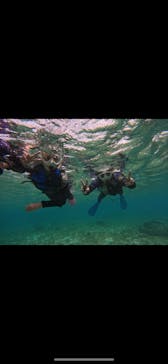 沖縄マリンサービス碧に投稿された画像（2024/9/23）