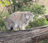 那須どうぶつ王国に投稿された画像（2024/9/23）