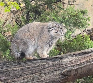 那須どうぶつ王国に投稿された画像（2024/9/23）