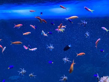 サンシャイン水族館に投稿された画像（2024/9/23）