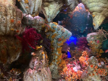 サンシャイン水族館に投稿された画像（2024/9/23）