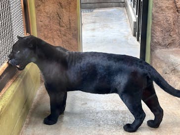 日立市かみね動物園に投稿された画像（2024/9/23）