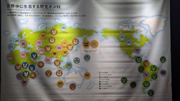 特別展「ネコ」 ～にゃんと！クールなハンターたち～に投稿された画像（2024/9/23）