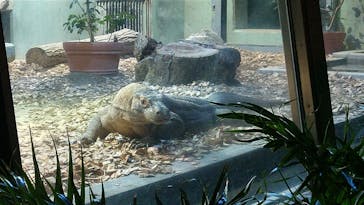 名古屋市東山動植物園に投稿された画像（2024/9/23）