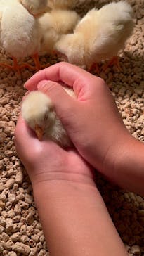 Moff animal cafe イオンモール幕張新都心店に投稿された画像（2024/9/23）