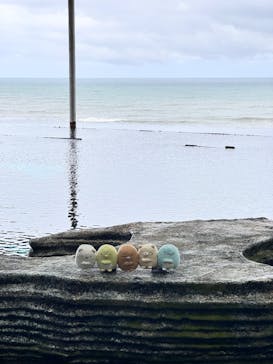 上越市立水族博物館 うみがたりに投稿された画像（2024/9/23）