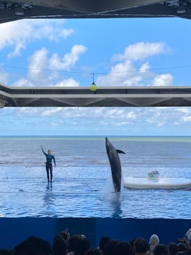 上越市立水族博物館 うみがたりに投稿された画像（2024/9/23）