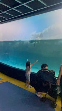 箱根園水族館に投稿された画像（2024/9/23）