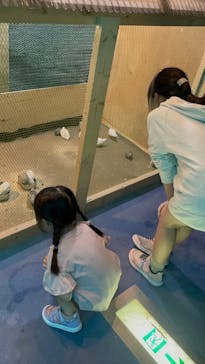 箱根園水族館に投稿された画像（2024/9/23）