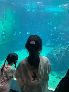 箱根園水族館に投稿された画像（2024/9/23）