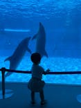 名古屋港水族館に投稿された画像（2024/9/23）