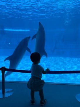 名古屋港水族館に投稿された画像（2024/9/23）