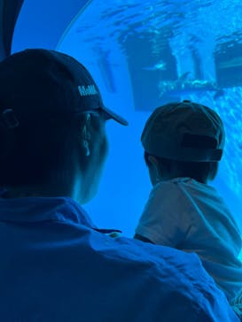 名古屋港水族館に投稿された画像（2024/9/23）