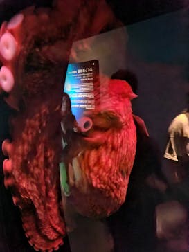 環境水族館アクアマリンふくしまに投稿された画像（2024/9/23）