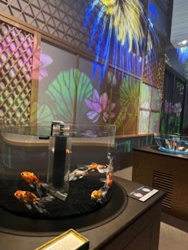 AQUARIUM × ART　atoaに投稿された画像（2024/9/23）