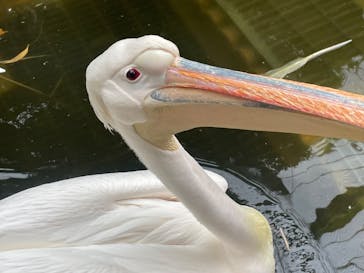 東武動物公園に投稿された画像（2024/9/23）