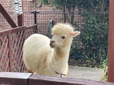 東武動物公園に投稿された画像（2024/9/23）