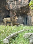 天王寺動物園に投稿された画像（2024/9/23）