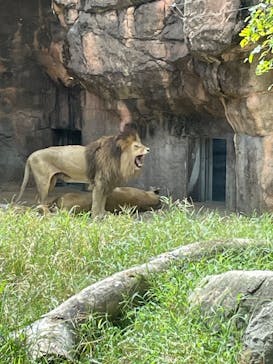 天王寺動物園に投稿された画像（2024/9/23）