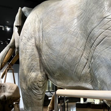 滋賀県立琵琶湖博物館に投稿された画像（2024/9/23）