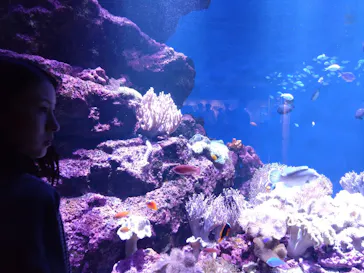 仙台うみの杜水族館に投稿された画像（2024/9/23）