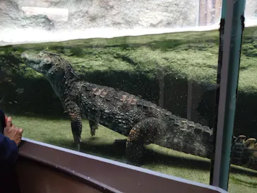 仙台うみの杜水族館に投稿された画像（2024/9/23）