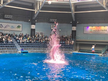 マクセル アクアパーク品川に投稿された画像（2024/9/23）