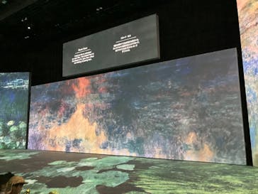 モネ＆フレンズ・アライブに投稿された画像（2024/9/23）