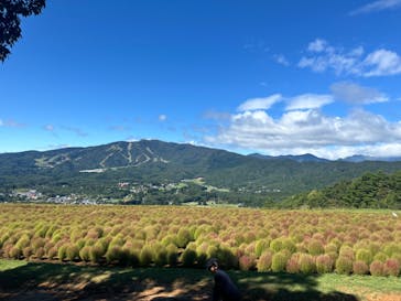 ひるがのピクニックガーデンに投稿された画像（2024/9/23）