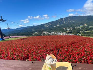 ひるがのピクニックガーデンに投稿された画像（2024/9/23）