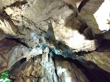 あぶくま洞に投稿された画像（2024/9/23）