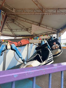 日本モンキーパークに投稿された画像（2024/9/23）