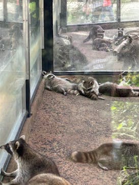 長崎バイオパークに投稿された画像（2024/9/23）