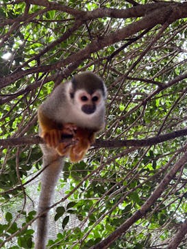 長崎バイオパークに投稿された画像（2024/9/23）